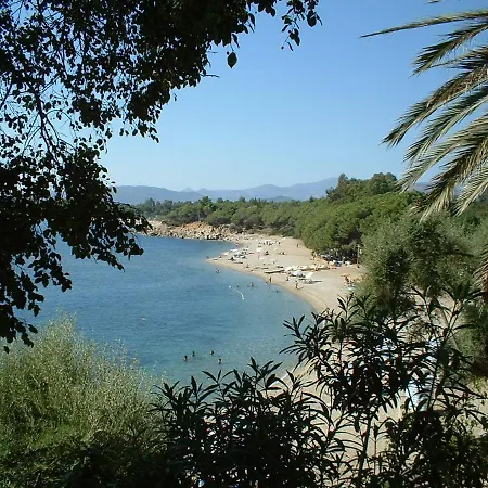 Le Bouganville