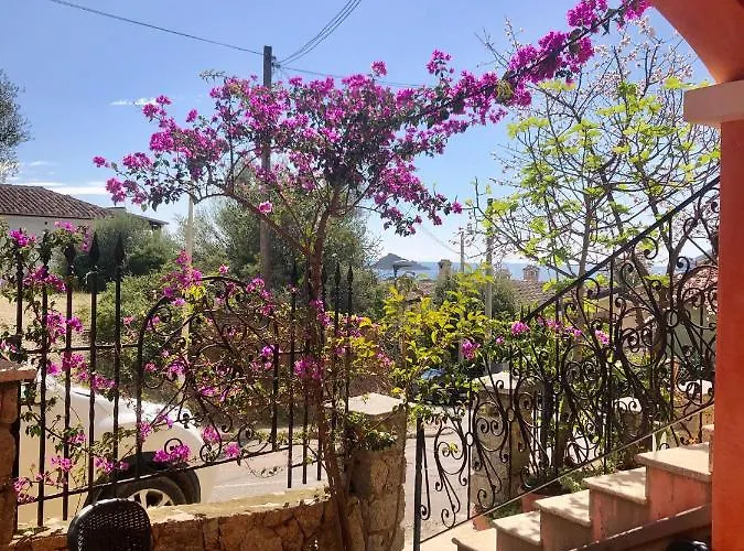 Дом отдыха Le Bouganville Санта-Мария-Наварезе