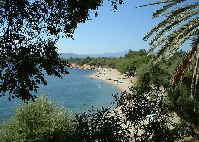 Le Bouganville